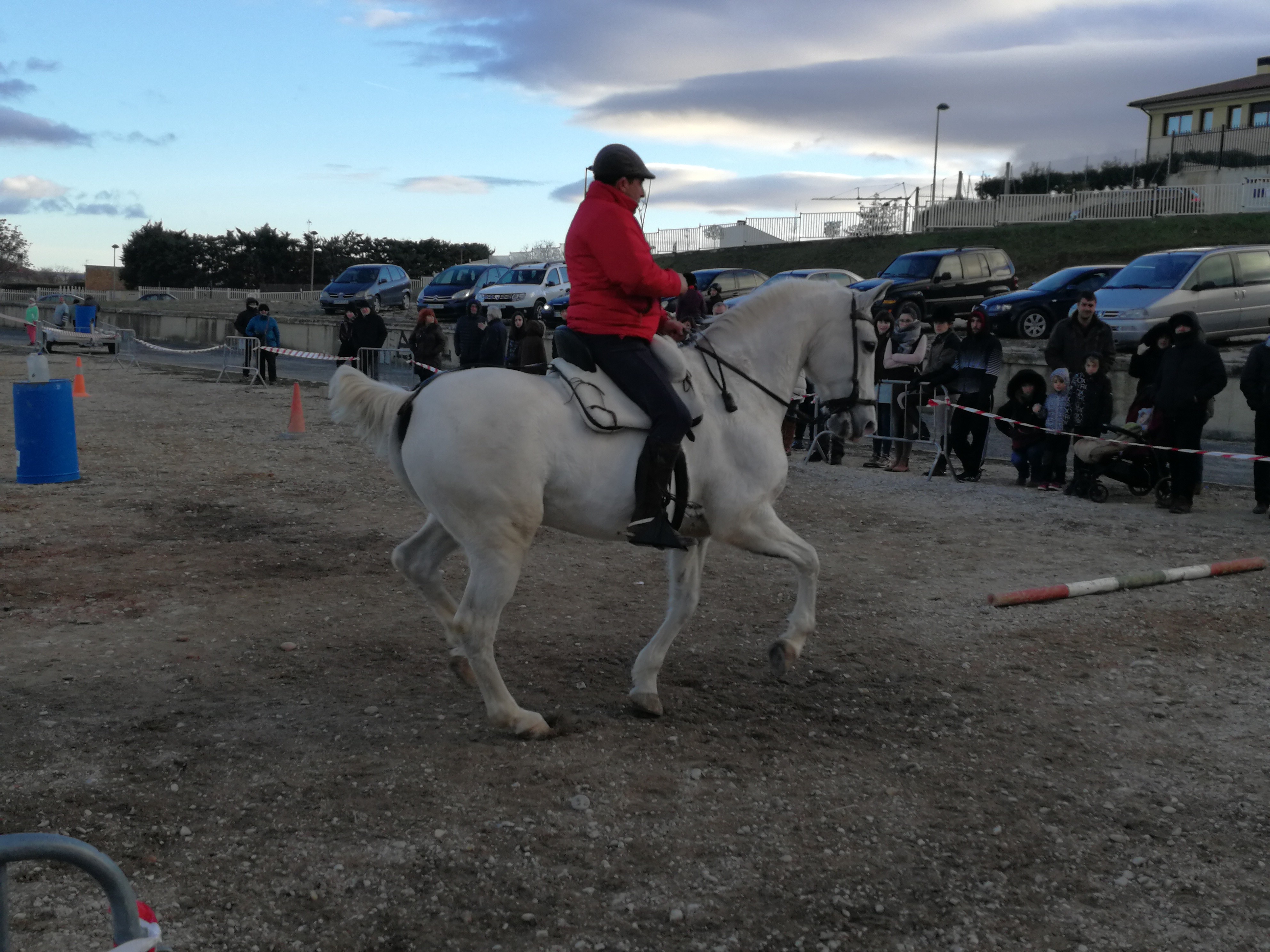 Exitosa exhibición/concurso de la disciplina de Doma de Trabajo en la feria de Tafalla